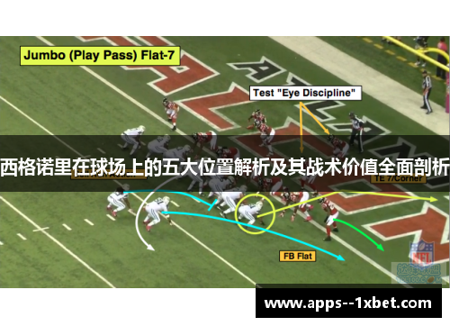 西格诺里在球场上的五大位置解析及其战术价值全面剖析